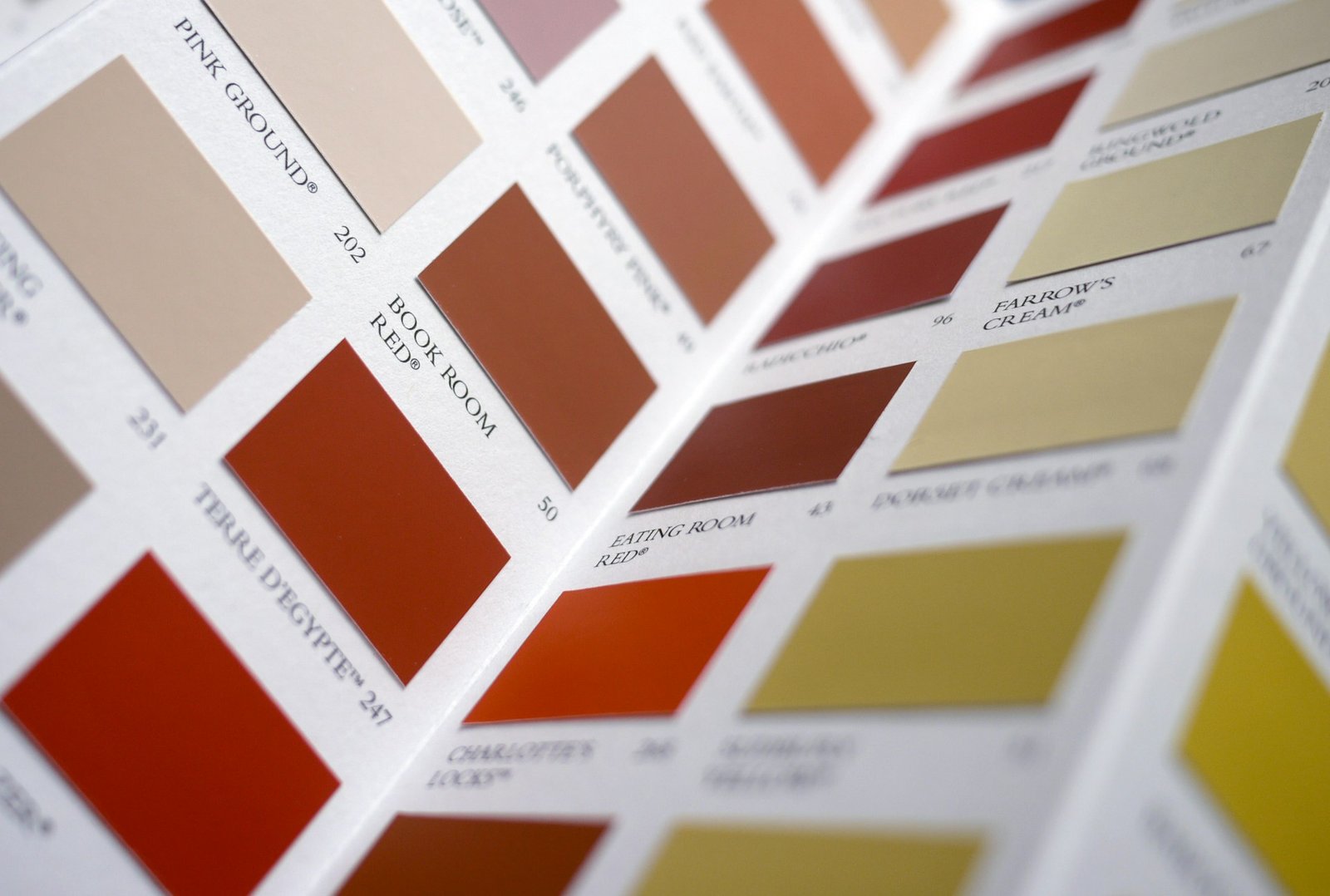 Paint color samples and chips arranged for choosing a house color